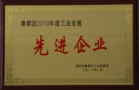 秦都區(qū)2010年度工業(yè)發(fā)展先進(jìn)企業(yè)